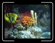 London1282 * 2848 x 2136 * (2.92MB)