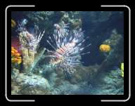 London1284 * 2848 x 2136 * (2.88MB)