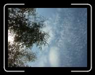 London1405 * 2848 x 2136 * (3.15MB)