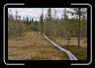01_017_18A_Luosto * 800 x 532 * (107KB)