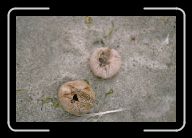 18-002_3_Fredvang * 800 x 532 * (56KB)