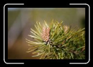 FloraFauna(18) * 800 x 532 * (50KB)