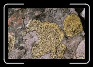 Geologie(02) * 800 x 532 * (135KB)