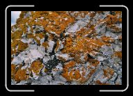 Geologie(07) * 800 x 532 * (110KB)