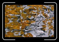 Geologie(08) * 800 x 532 * (112KB)