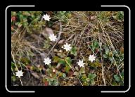 06-016_17_Porsangen * 800 x 532 * (89KB)