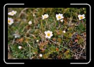 07-028_29A_Trollholmsundet * 800 x 532 * (71KB)