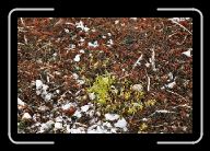 08-011_12_Trollholmsundet * 800 x 532 * (137KB)