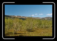 11-013_14_Skaidi * 800 x 532 * (93KB)