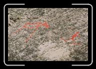12-011_12_Alta * 800 x 532 * (144KB)