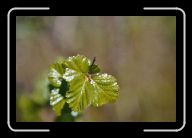 04-033_34_zwInari-Karigasniemi * 800 x 532 * (35KB)
