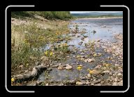 05-005_6_Inarijoki * 800 x 532 * (112KB)