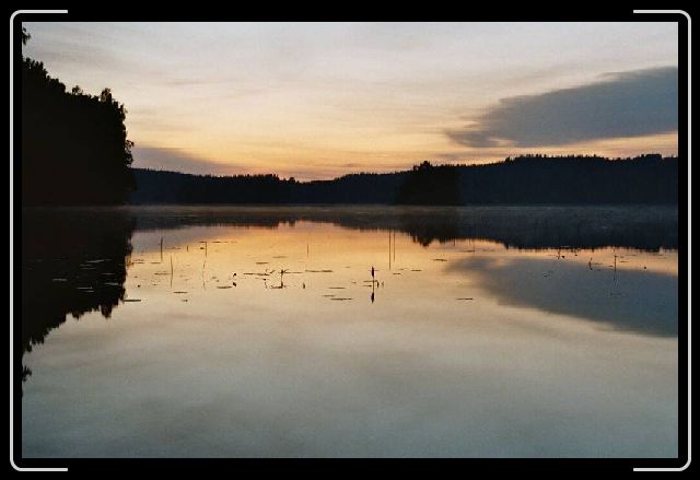 Nachstes Bild