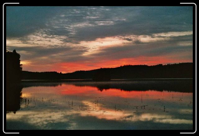 Nachstes Bild