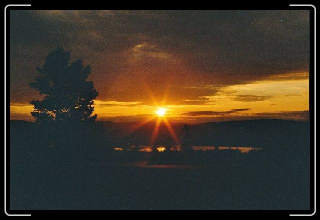 Nachstes Bild