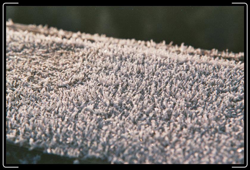 Letztes Bild erreicht