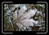 014_18 * 2088 x 1392