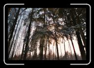 017_21 * 2088 x 1392