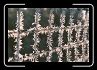 025_29 * 2088 x 1392