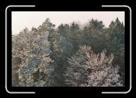 027_31 * 2088 x 1392