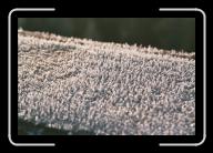 030_34 * 2088 x 1392