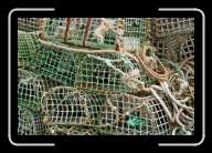 1pic004_5 * 2088 x 1392 * (1.51MB)