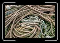 1pic005_6 * 2088 x 1392 * (1.44MB)