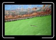 3pic031_32 * 2088 x 1392 * (1.11MB)