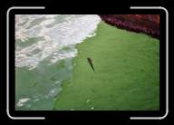 3pic033_34 * 2088 x 1392 * (909KB)