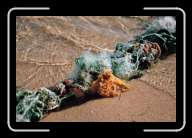 4pic001_2 * 2088 x 1392 * (1.17MB)