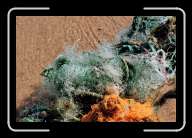 4pic004_5 * 2088 x 1392 * (1.29MB)