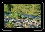 5pic004_5 * 2088 x 1392 * (1.11MB)