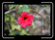 5pic011_12 * 2088 x 1392 * (846KB)