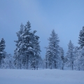  MG 9227 : Saariselkä