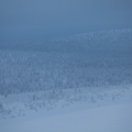  MG 9598 : Saariselkä