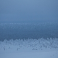  MG 9602 : Saariselkä