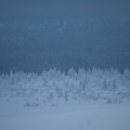  MG 9604 : Saariselkä
