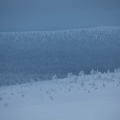  MG 9606 : Saariselkä