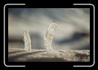 1-002_3A * 2088 x 1392 * (1.8MB)