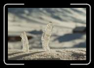 1-003_4A * 2088 x 1392 * (1.8MB)