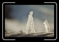 1-005_6A * 2088 x 1392 * (1.77MB)