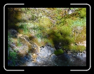 DSC04832 * 800 x 600 * (159KB)