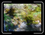 DSC04833 * 800 x 600 * (165KB)