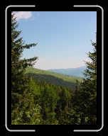 DSC04834 * 600 x 800 * (82KB)