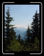 DSC04835 * 600 x 800 * (79KB)