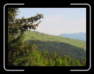 DSC04836 * 800 x 600 * (93KB)