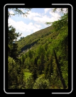 DSC04837 * 600 x 800 * (110KB)