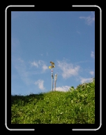 DSC04839 * 600 x 800 * (59KB)