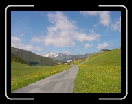 DSC04841 * 800 x 600 * (60KB)