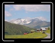 DSC04842 * 800 x 600 * (53KB)